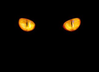 Jaka barwa światła do samochodu jest dobra?