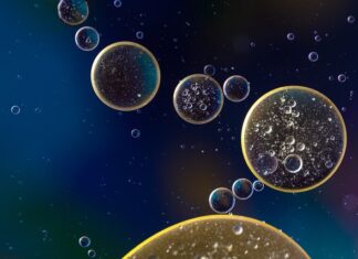 Jak sprawdzić przednie zawieszenie w motocyklu? Jak sprawdzić przednie zawieszenie w motocyklu?