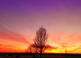 Na co zwrócić uwagę przy kupnie motoru?