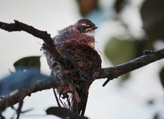 Gdzie jest plus w gnieździe zapalniczki? Gdzie jest plus w gnieździe zapalniczki?