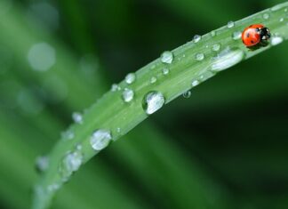 Jaka pościel do żłobka? Jaka pościel do żłobka?