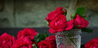 Jak wysterylizować pojemnik?