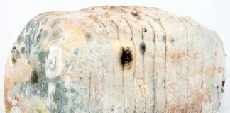 Jak dezynfekować zabawki dziecka?