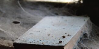 Kiedy dziecko powinno układać wieże?