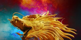 Czy dawać smoka noworodkowi?