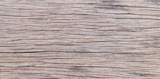 Jaki Nerf dla 10 latka?