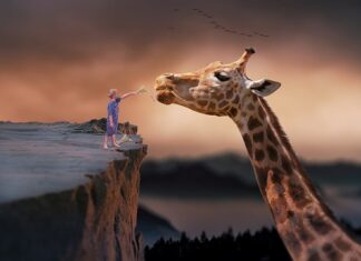 Czy można karmienie mieszane szkodzi dziecku?