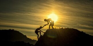 Co to jest przyjaźń cytaty?