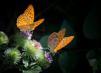 Co to jest masa plastyczna?