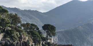 Ile kosztuje nowy AK-47?