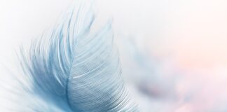 Jak wybrać dobre pióro?