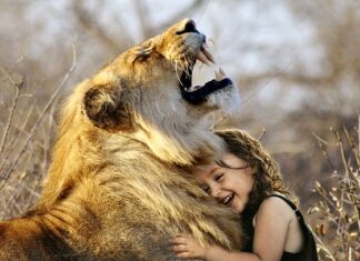 Jaka jest najlepsza modelina?