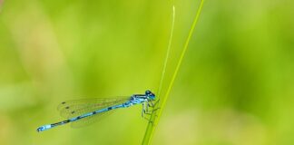 Co ucieszy 6 latkę?