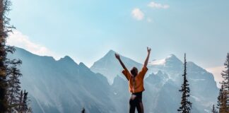 Jak wpisać program wycieczki w vulcanie?