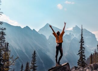 Jak wpisać program wycieczki w vulcanie?