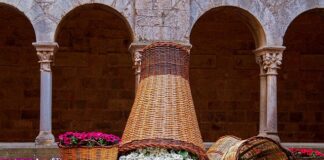 Co zrobić z kartonów?