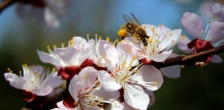 Jak nauczyć dziecko starannego pisania?