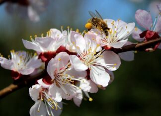Jak nauczyć dziecko starannego pisania? Jak nauczyć dziecko starannego pisania?