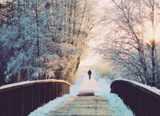 Ile dni do dyspozycji dyrektora?