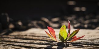 Ile podkładów poporodowych zabrać do szpitala?