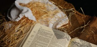 Ile pieluch zabrać do szpitala?