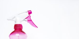 Jak Odkazić pluszaki?