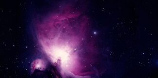 Od czego zacząć naukę kaligrafii?