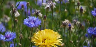 Co odpowiada się na co tam?