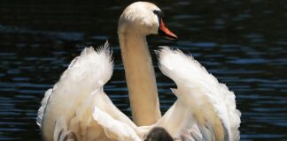 Jak długo dziecko w foteliku przepisy?