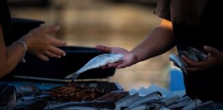 Jak legalnie sprzedawać LEGO?