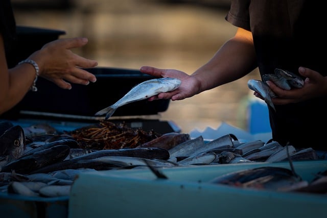 Jak legalnie sprzedawać LEGO? Jak legalnie sprzedawać LEGO?